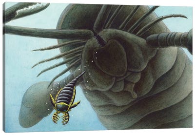 Giant Sea Scorpion Pterygotus Is Having A Go At A Young Mixopterus Kiaeri In Silurian Seas Canvas Art Print