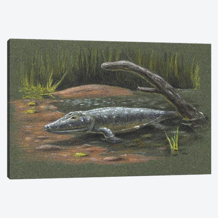 Tiktaalik Rosae, A Bony Fish From The Late Devonian, Found In The Canadian Arctic Canvas Print #TRK3842} by Esther van Hulsen Canvas Print