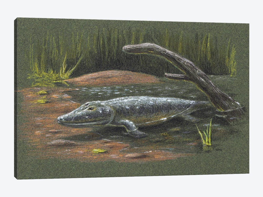 Tiktaalik Rosae, A Bony Fish From The Late Devonian, Found In The Canadian Arctic by Esther van Hulsen 1-piece Canvas Artwork