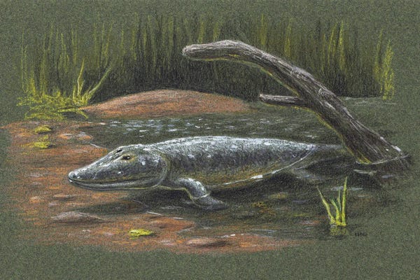 Prehistoric Animals: Tiktaalik Rosae, A Bony Fish From The Late Devonian, Found In The Canadian Arctic by Esther van Hulsen