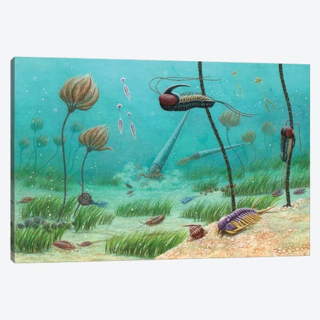 Underwater Seascape With Different Species Of Trilobites, Graptolites, Brachiopods And Endoceras Canvas Print #TRK3843} by Esther van Hulsen Canvas Print