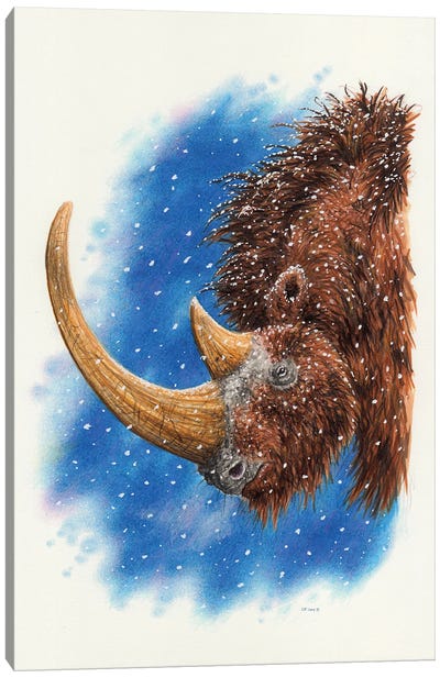 A Woolly Rhinoceros Canvas Art Print