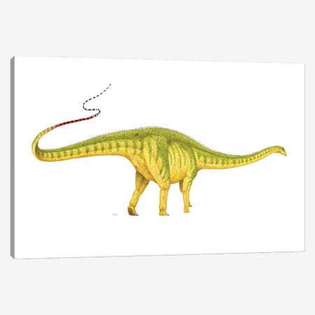 Diplodocus Dinosaur, Side View On White Background Canvas Print #TRK3850} by Esther van Hulsen Canvas Wall Art