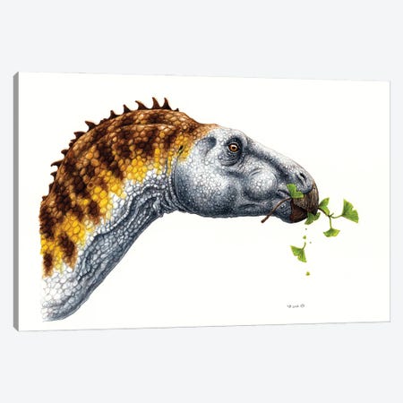 Hadrosaurus Dinosaur Eating Foliage, On White Background Canvas Print #TRK3853} by Esther van Hulsen Canvas Wall Art