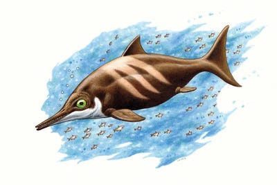 Ichthyosaurus