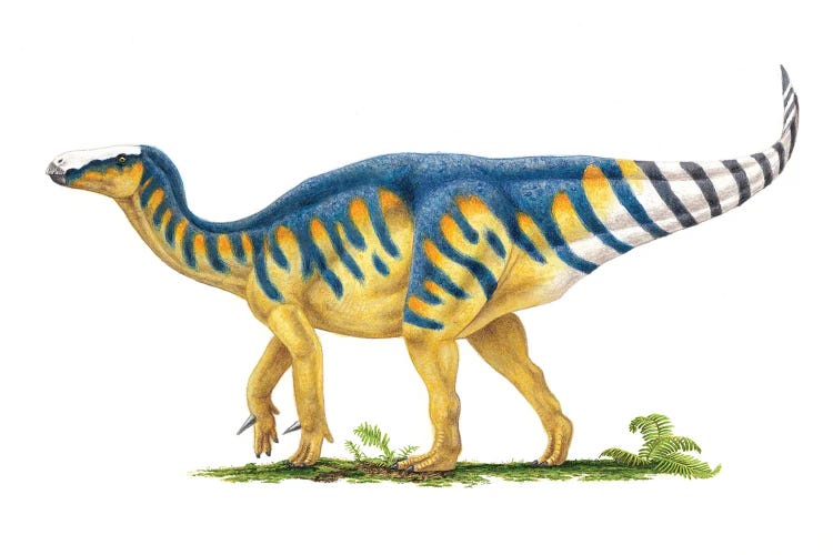 Iguanodon Dinosaur, Side View On White Background