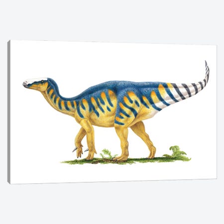 Iguanodon Dinosaur, Side View On White Background Canvas Print #TRK3856} by Esther van Hulsen Canvas Art Print