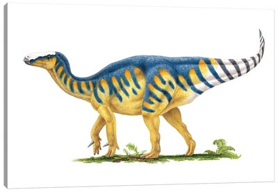 Iguanodon Dinosaur, Side View On White Background Canvas Art Print - Prehistoric Animal Art