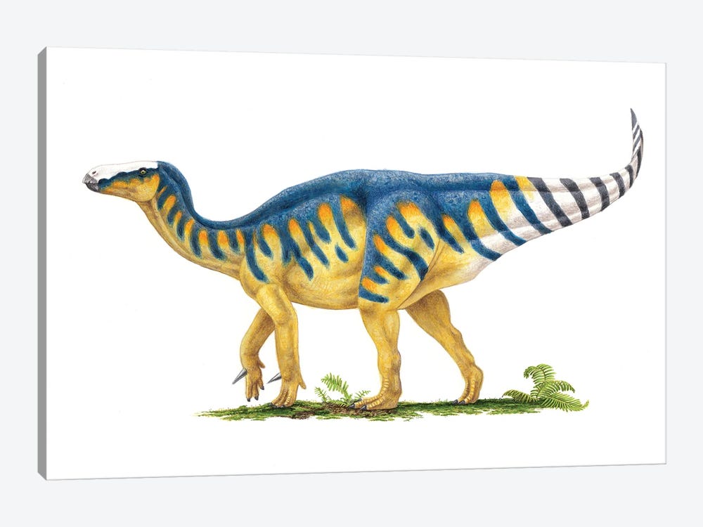 Iguanodon Dinosaur, Side View On White Background by Esther van Hulsen 1-piece Art Print