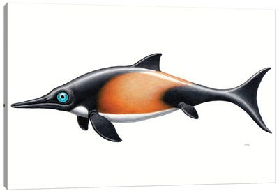 Ophthalmosaurus, Side View On White Background Canvas Art Print