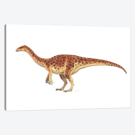 Plateosaurus Dinosaur, Side View On White Background Canvas Print #TRK3862} by Esther van Hulsen Canvas Print