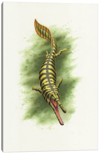 Prionosuchus, An Extinct Amphibian Canvas Art Print