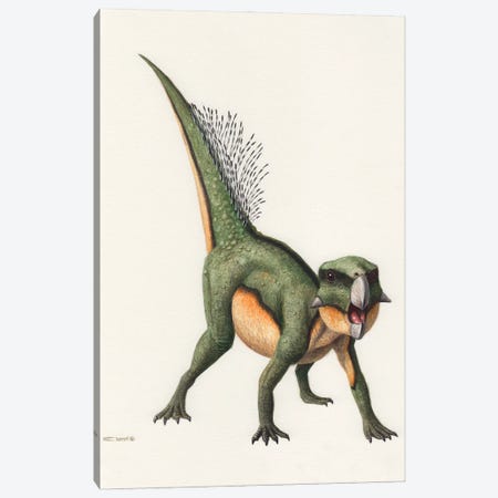 Psittacosaurus Dinosaur, Front View On White Background Canvas Print #TRK3865} by Esther van Hulsen Canvas Artwork