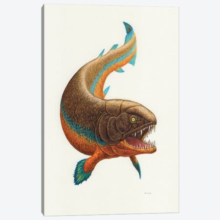 Rhizodus Prehistoric Fish, Front View On White Background Canvas Print #TRK3867} by Esther van Hulsen Canvas Wall Art