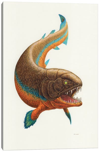 Rhizodus Prehistoric Fish, Front View On White Background Canvas Art Print