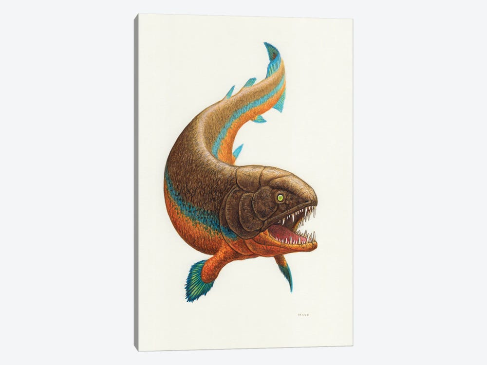 Rhizodus Prehistoric Fish, Front View On White Background 1-piece Art Print