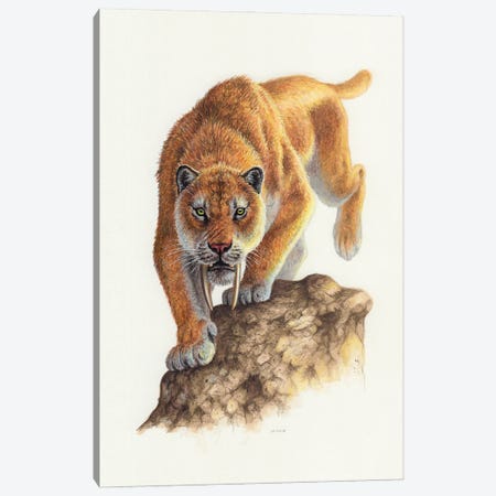 Smilodon On The Prowl, Front View Canvas Print #TRK3869} by Esther van Hulsen Canvas Print