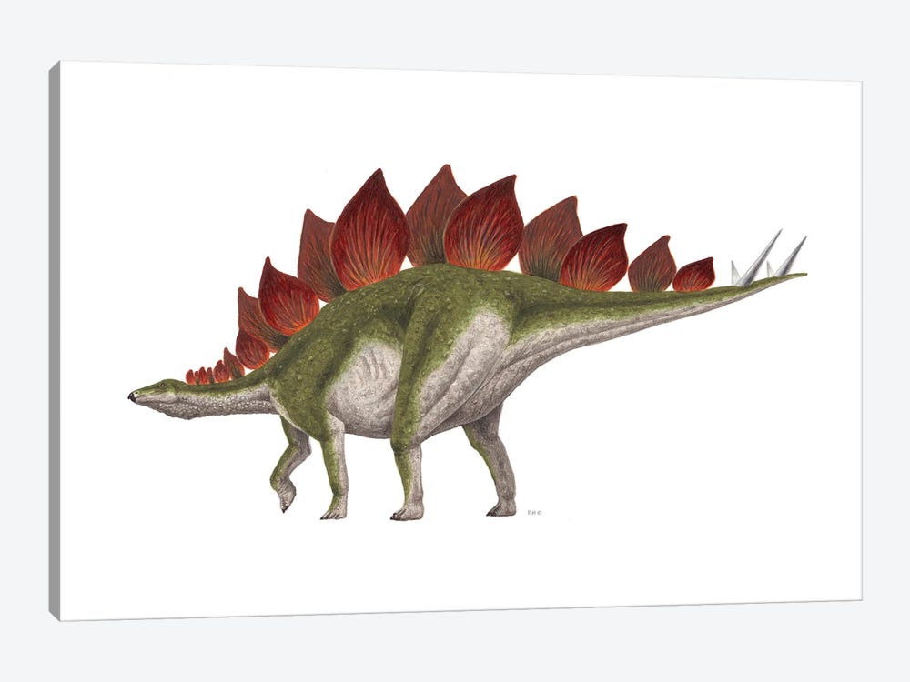 Stegosaurus Dinosaur, Side View On White Background by Esther van Hulsen 1-piece Canvas Print