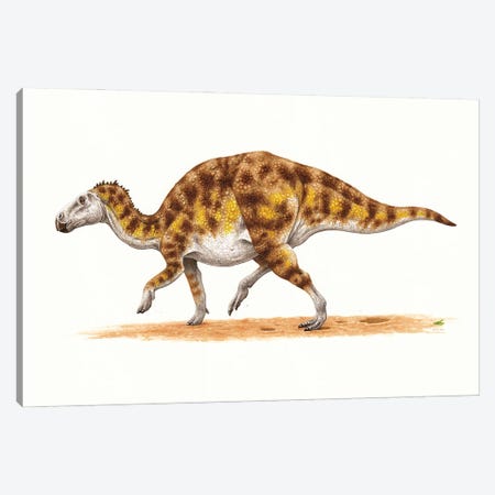 Hadrosaurus Dinosaur, Side View On White Background Canvas Print #TRK3872} by Esther van Hulsen Canvas Art