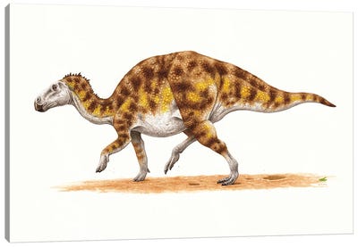 Hadrosaurus Dinosaur, Side View On White Background Canvas Art Print