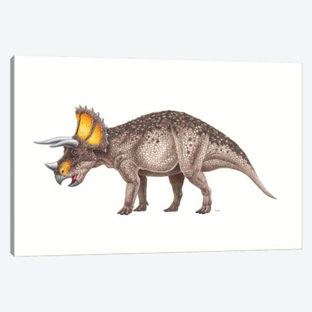 Triceratops Dinosaur, Side View On White Background Canvas Print #TRK3874} by Esther van Hulsen Art Print