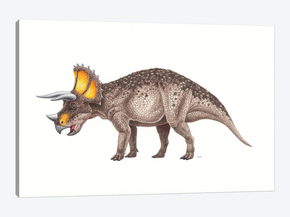 Triceratops Dinosaur, Side View On White Background by Esther van Hulsen 1-piece Art Print