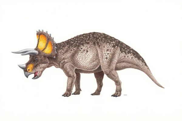 Prehistoric Animals: Triceratops Dinosaur, Side View On White Background by Esther van Hulsen