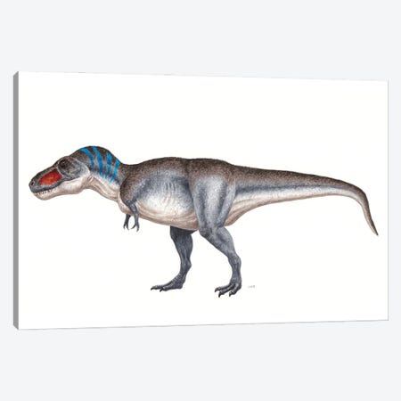 Tyrannosaurus Rex Dinosaur, Side View On White Background Canvas Print #TRK3875} by Esther van Hulsen Art Print