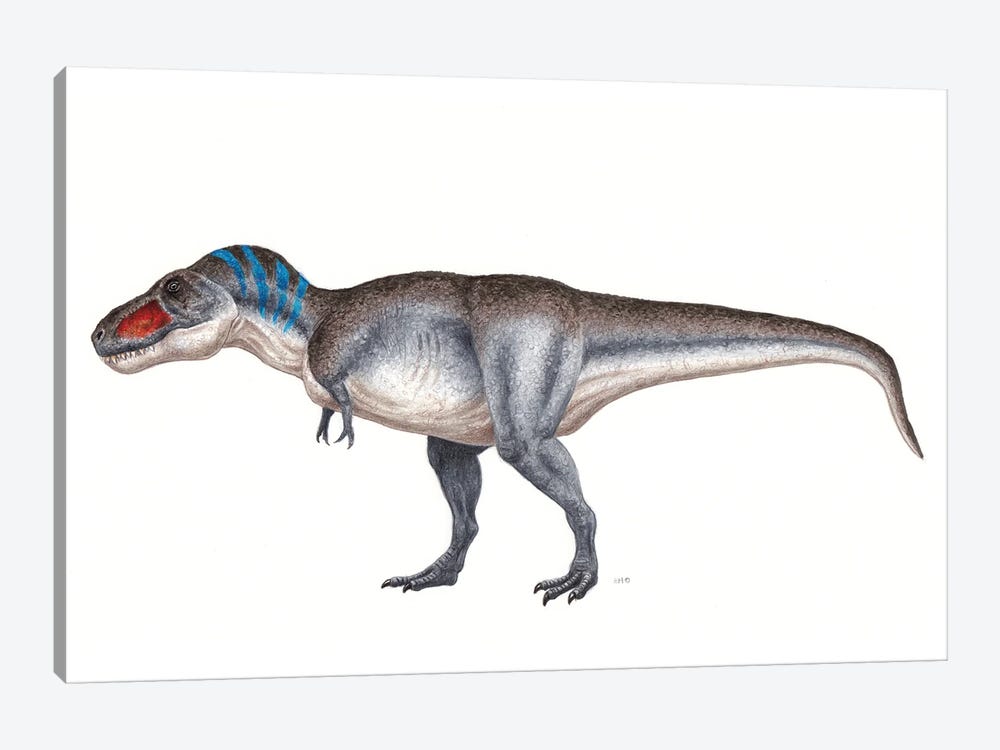 Tyrannosaurus Rex Dinosaur, Side View On White Background by Esther van Hulsen 1-piece Canvas Art