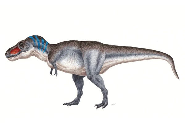 Prehistoric Animals: Tyrannosaurus Rex Dinosaur, Side View On White Background by Esther van Hulsen