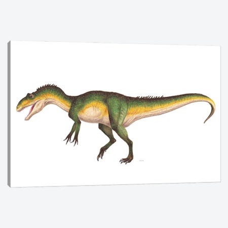Allosaurus Dinosaur, Side vVew On White Background Canvas Print #TRK3877} by Esther van Hulsen Canvas Print