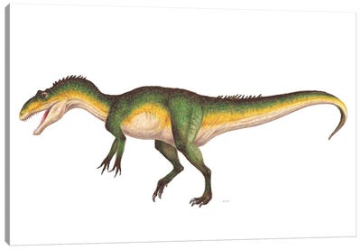Allosaurus Dinosaur, Side vVew On White Background Canvas Art Print