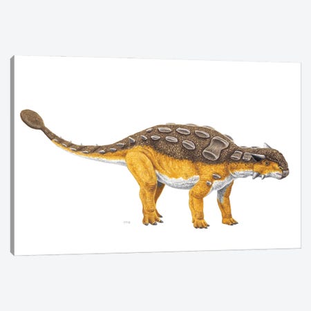 Ankylosaurus Dinosaur, Side View On White Background Canvas Print #TRK3878} by Esther van Hulsen Canvas Art