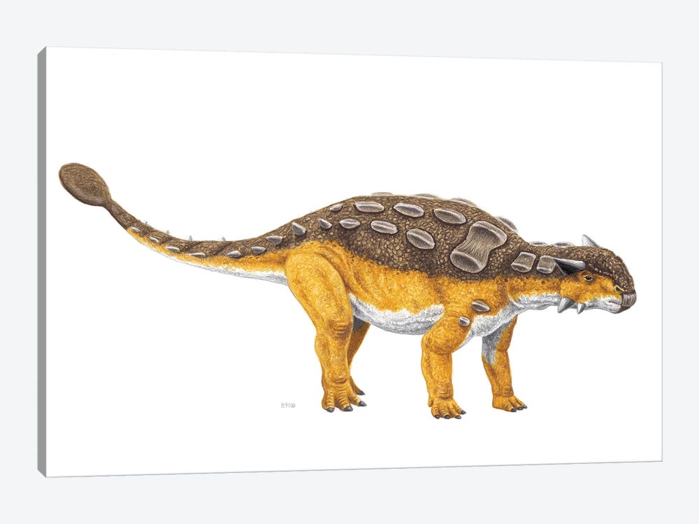 Ankylosaurus Dinosaur, Side View On White Background by Esther van Hulsen 1-piece Canvas Print