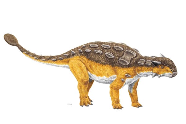 Prehistoric Animals: Ankylosaurus Dinosaur, Side View On White Background by Esther van Hulsen