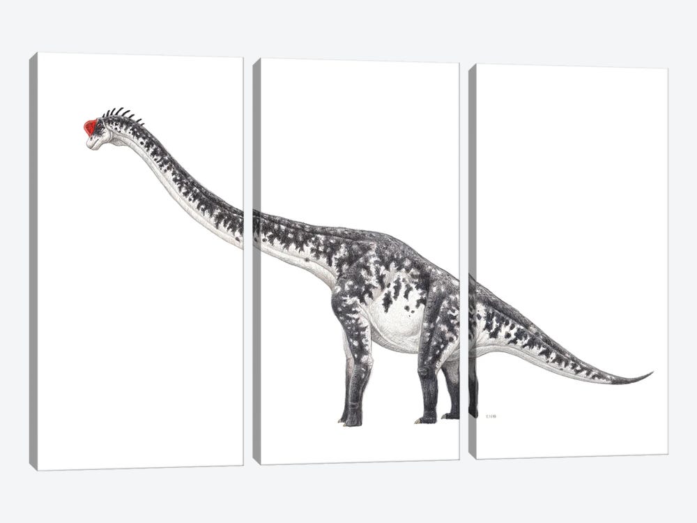 Brachiosaurus Dinosaur, Side View On White Background by Esther van Hulsen 3-piece Canvas Artwork