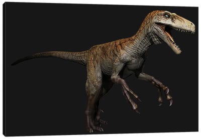 Utahraptor Dinosaur, Side View On Black Background Canvas Art Print