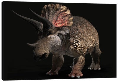 Triceratops Dinosaur On Black Background Canvas Art Print