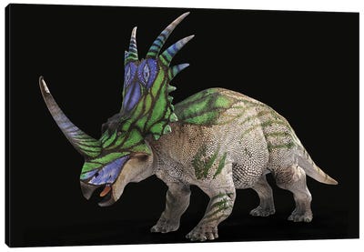 Styracosaurus Dinosaur With Colorful Neck Frill Canvas Art Print