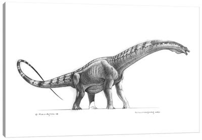 Graphite Restoration Of Futalognkosaurus Dukei Canvas Art Print