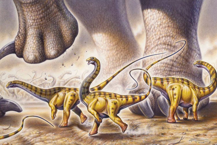 Juvenile Apatosaurus Ajax Dinosaurs Running By The Powerful Legs Of An Adult Apatosaurus