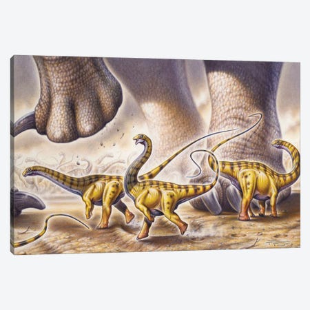 Juvenile Apatosaurus Ajax Dinosaurs Running By The Powerful Legs Of An Adult Apatosaurus Canvas Print #TRK3891} by Fabio Pastori Canvas Wall Art