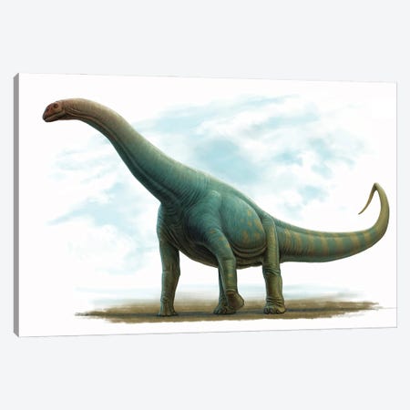 Spinophorosaurus Nigerensis, Side View Canvas Print #TRK3895} by Heraldo Mussolini Canvas Art Print