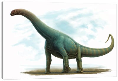Spinophorosaurus Nigerensis, Side View Canvas Art Print