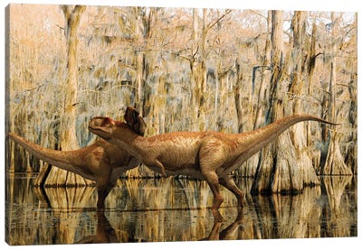 Two Abelisaurus Dinosaurs Caress Each Other In The Middle Of A Swampy Area Canvas Art Print
