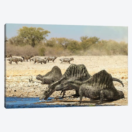 Arizonasaurus Dinosaurs Drinking Water From A Pond Canvas Print #TRK3897} by Jose Antonio Penas Canvas Print