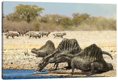 Arizonasaurus Dinosaurs Drinking Water From A Pond Canvas Art Print
