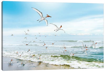 A Flock Of Pterodactyls Flying Near The Beach Looking For Food Canvas Art Print