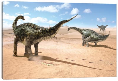 A Group Of Female Lohuecotitan Dinosaurs Lay Their Eggs In The Sand, Before Burying Them Canvas Art Print