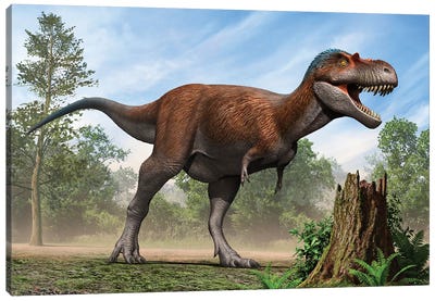 Albertosaurus, A Genus Of Tyrannosaurid Theropod Dinosaurs Canvas Art Print